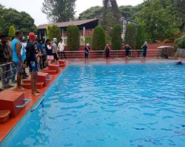 portfolio woocommerce