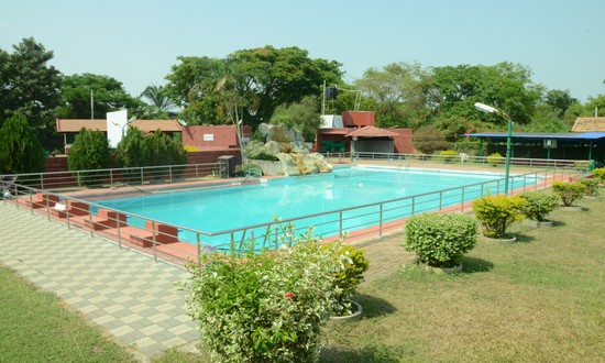 portfolio woocommerce